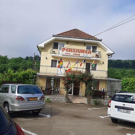Pensiunea Vidra Băile Felix Buitenkant foto