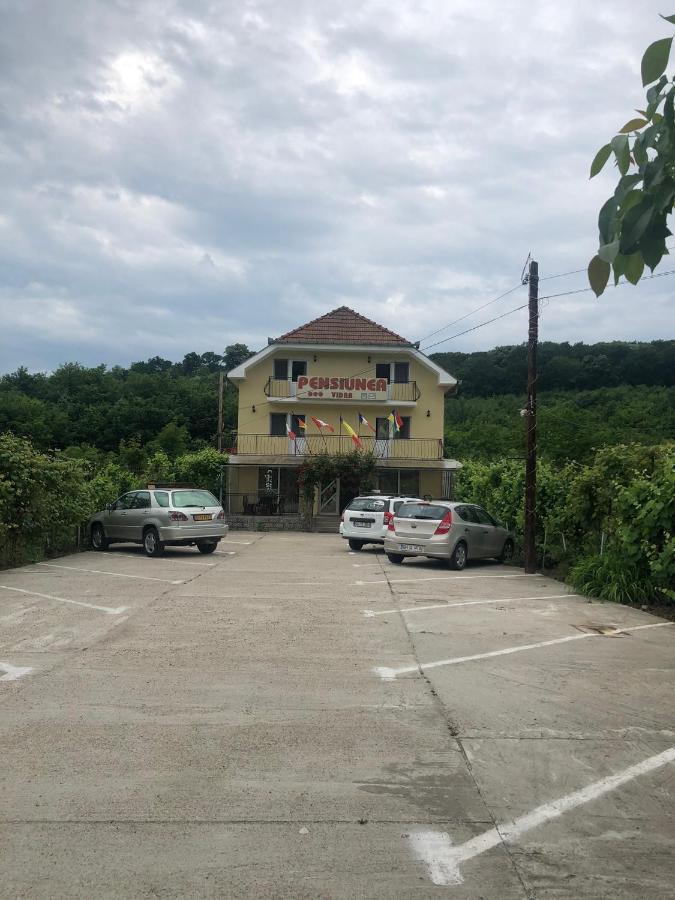 Pensiunea Vidra Băile Felix Buitenkant foto
