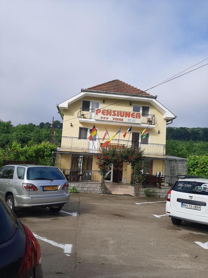 Pensiunea Vidra Băile Felix Buitenkant foto