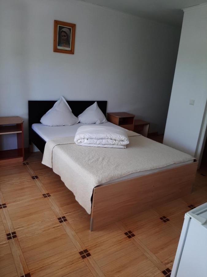 Pensiunea Vidra Băile Felix Buitenkant foto