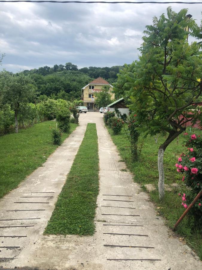 Pensiunea Vidra Băile Felix Buitenkant foto