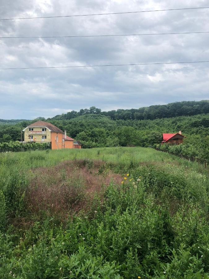 Pensiunea Vidra Băile Felix Buitenkant foto