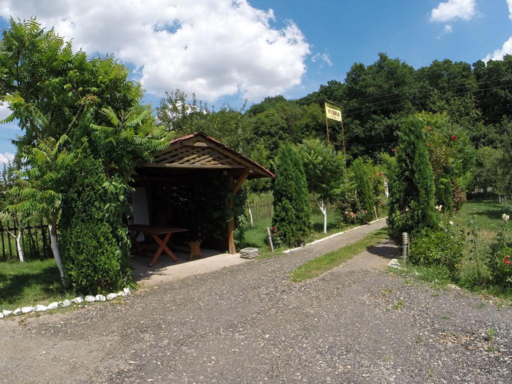 Pensiunea Vidra Băile Felix Buitenkant foto