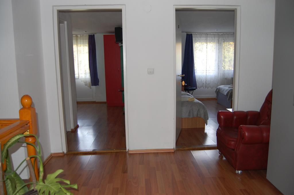 Pensiunea Vidra Băile Felix Buitenkant foto