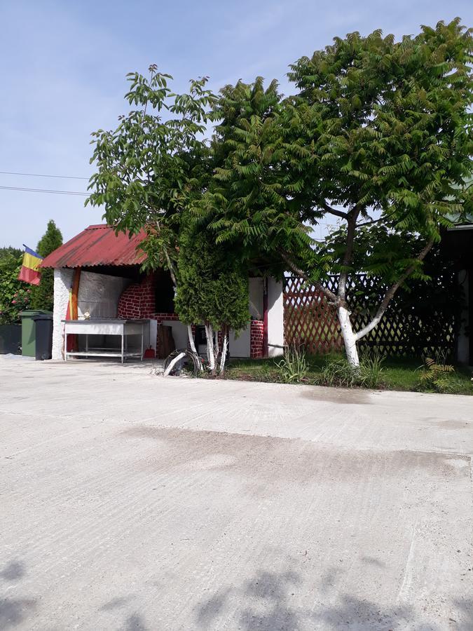 Pensiunea Vidra Băile Felix Buitenkant foto