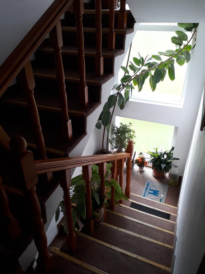 Pensiunea Vidra Băile Felix Buitenkant foto